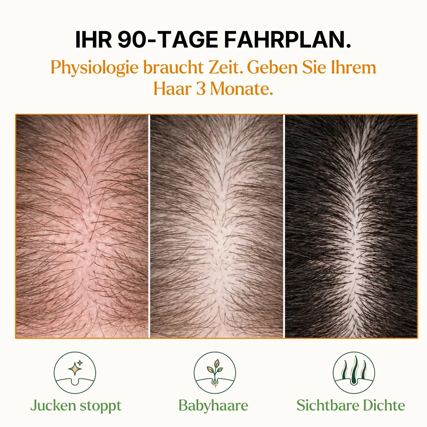 Phyrow Nächtliche Haar-Softgels mit Kürbiskernöl & Sägepalme